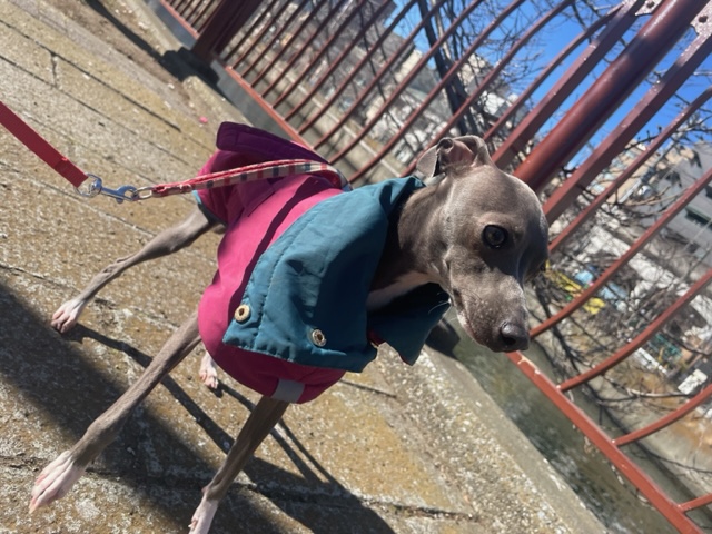 みんな元気いっぱいです～♫イメージ