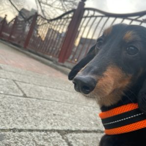 店内フリーのお友達がいっぱいです(^O^)／イメージ