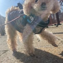 いいお天気です♫イメージ