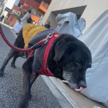 のんびり元気に過ごしていました！イメージ