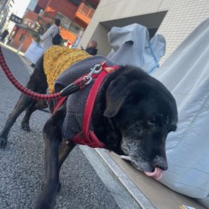 のんびり元気に過ごしていました！イメージ