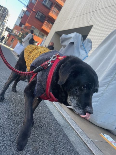 のんびり元気に過ごしていました！イメージ