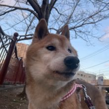 日差しが暖かいです(´艸｀*)イメージ