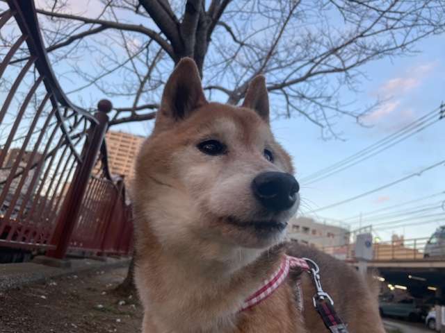 日差しが暖かいです(´艸｀*)イメージ