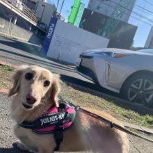 みんな元気いっぱいです！イメージ