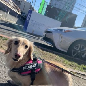 みんな元気いっぱいです！イメージ