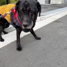 まったりな一日です( ˘ω˘ )イメージ