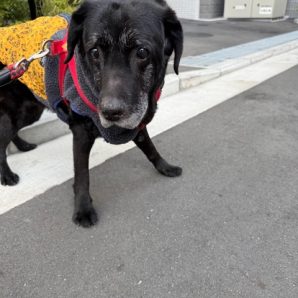 まったりな一日です( ˘ω˘ )イメージ