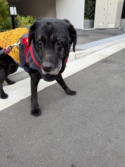 まったりな一日です( ˘ω˘ )イメージ