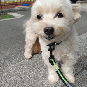 暖かい1日でした(*^^)vイメージ