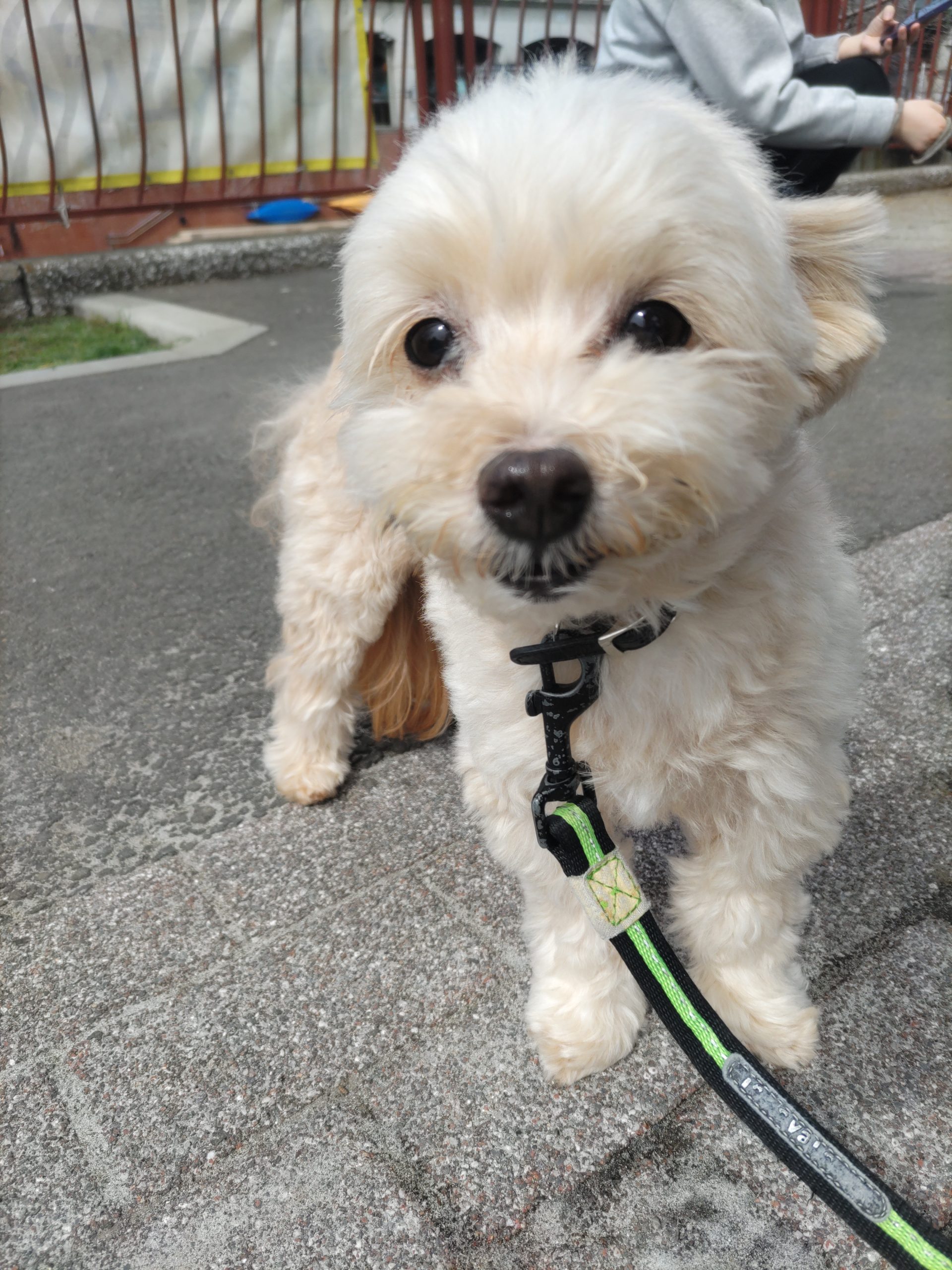 暖かい1日でした(*^^)vイメージ