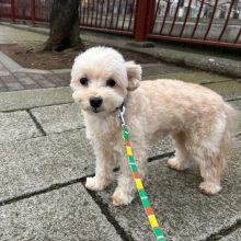 みんなのんびりと過ごしていました🍀イメージ