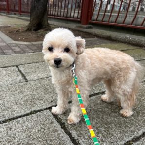 みんなのんびりと過ごしていました🍀イメージ