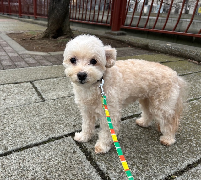 みんなのんびりと過ごしていました🍀イメージ