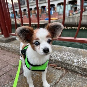 今日は暖かい一日でした！イメージ