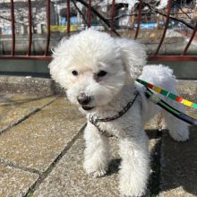 暖かい1日でした(≧▽≦)イメージ