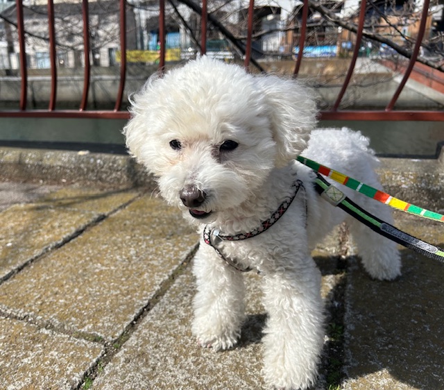 暖かい1日でした(≧▽≦)イメージ