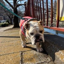 いいお天気です(^O^)／イメージ