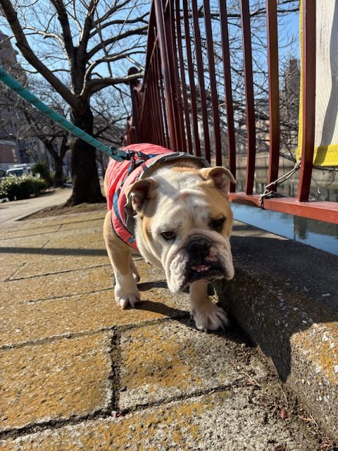 いいお天気です(^O^)／イメージ