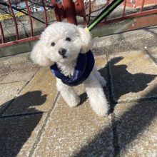 今日からお泊りのお友達がいっぱいです♫イメージ