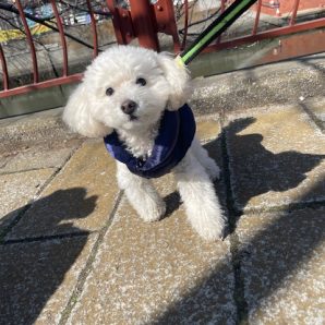 今日からお泊りのお友達がいっぱいです♫イメージ