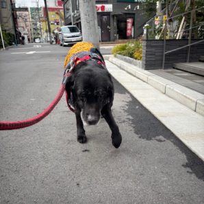 みんな元気いっぱいでした(*^▽^*)イメージ