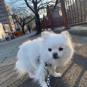 店内フリーで賑やかな1日でした✨イメージ