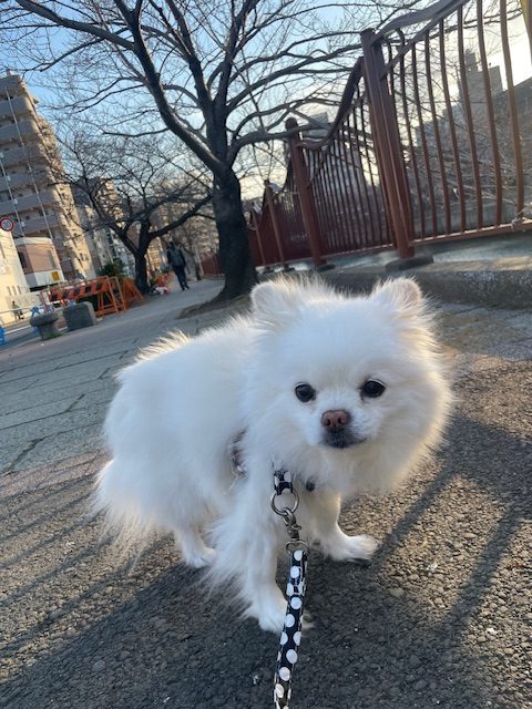 店内フリーで賑やかな1日でした✨イメージ