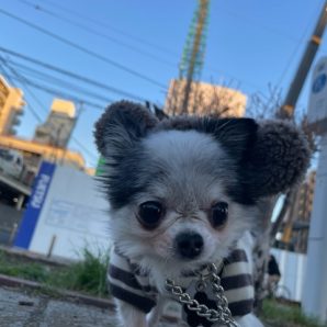 2月スタートです！！イメージ