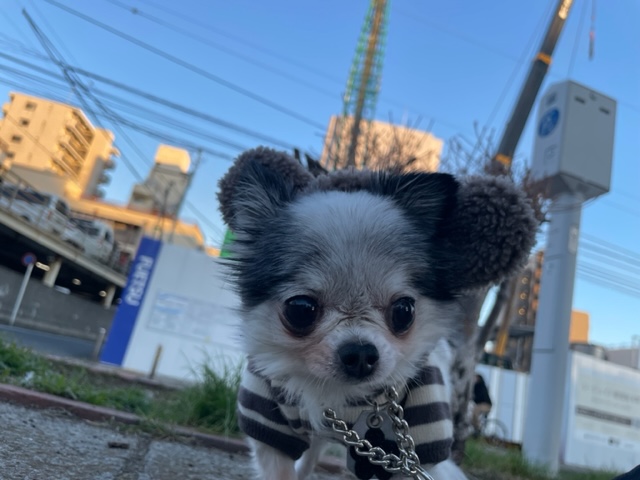 2月スタートです！！イメージ