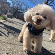 いいお天気でした♪イメージ