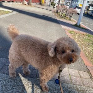 みんなのんびりでした♫イメージ