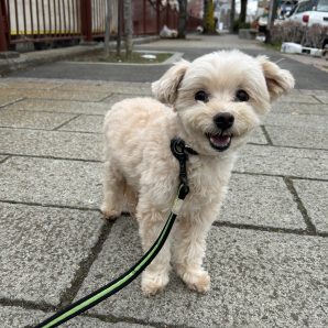 過ごしやすい一日でした♫イメージ