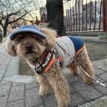 少し寒い1日でした♪イメージ