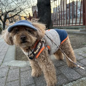 少し寒い1日でした♪イメージ