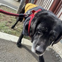 みんなまったりな1日でした(^^)イメージ