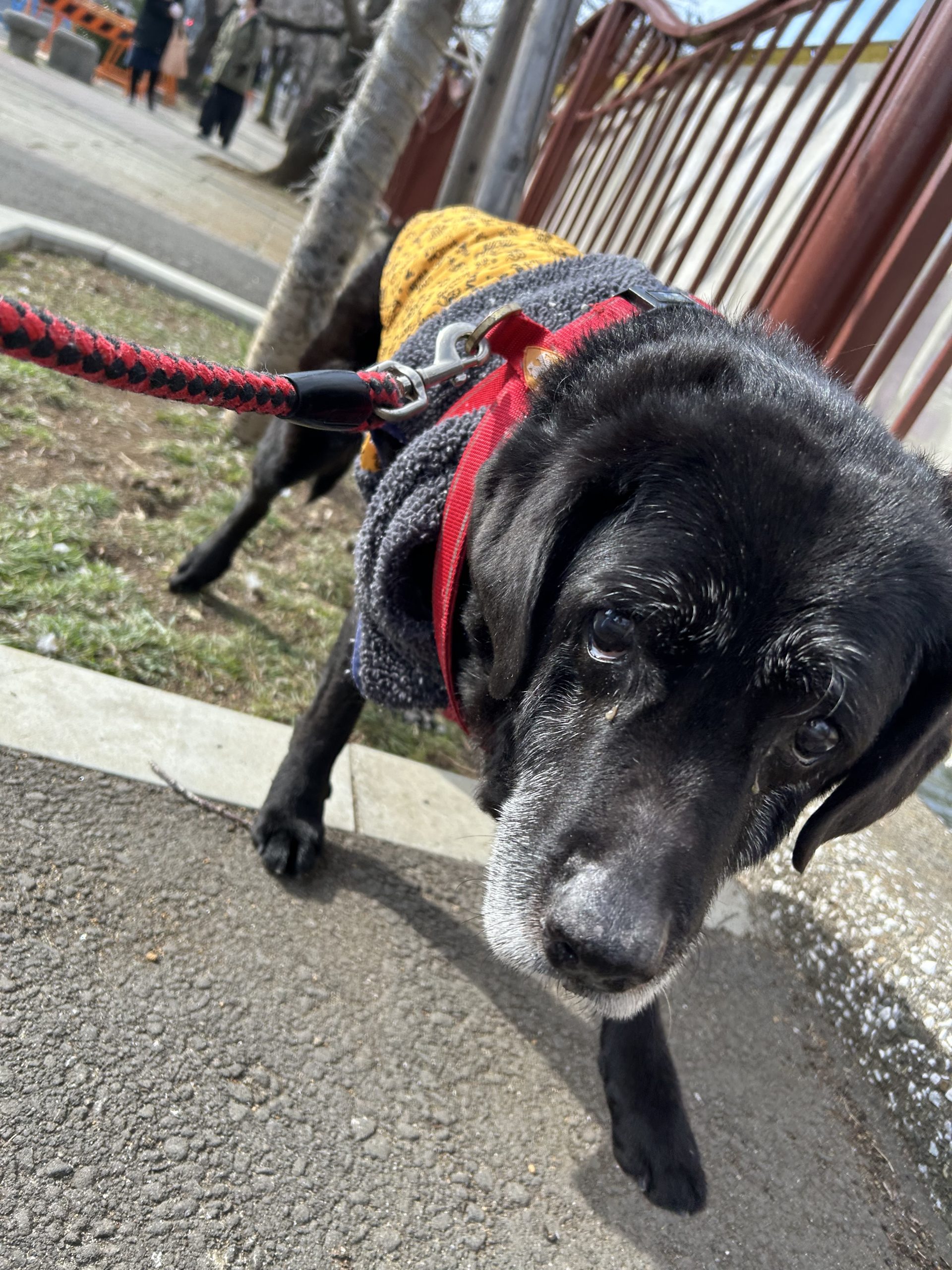 みんなまったりな1日でした(^^)イメージ