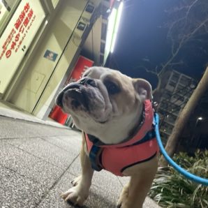 雪が残っていますがいいお天気でした(≧▽≦)イメージ