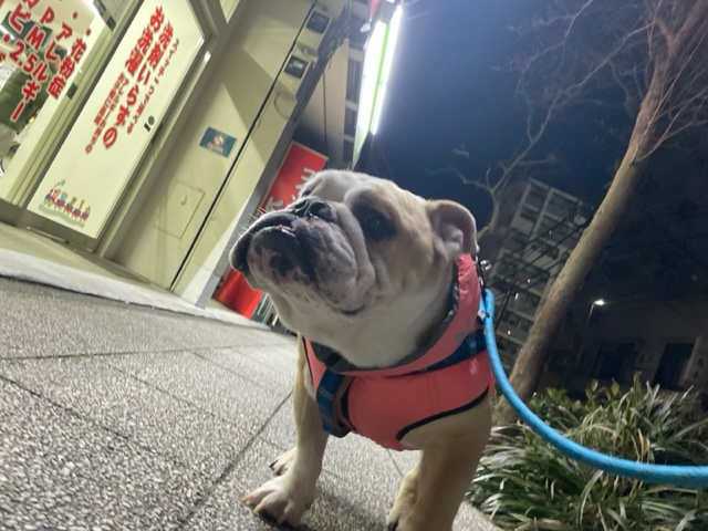 雪が残っていますがいいお天気でした(≧▽≦)イメージ