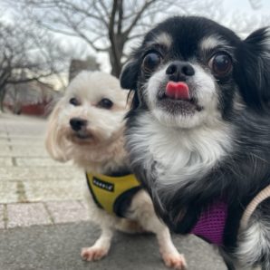 暖かい1日でした♪イメージ