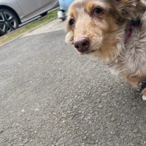 店内フリーのお友達がいっぱいでした(^_^)イメージ