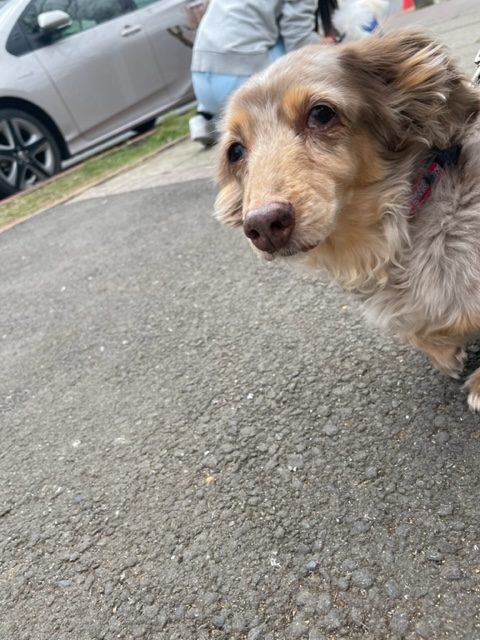 店内フリーのお友達がいっぱいでした(^_^)イメージ