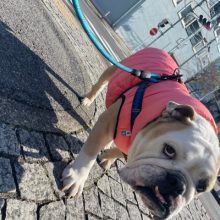 本日はバレンタインデーです♫イメージ