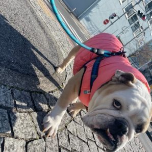 本日はバレンタインデーです♫イメージ