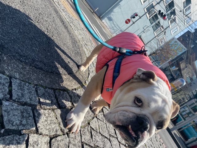 本日はバレンタインデーです♫イメージ