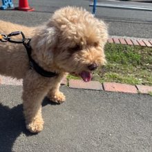 晴れた1日でした(≧▽≦)イメージ