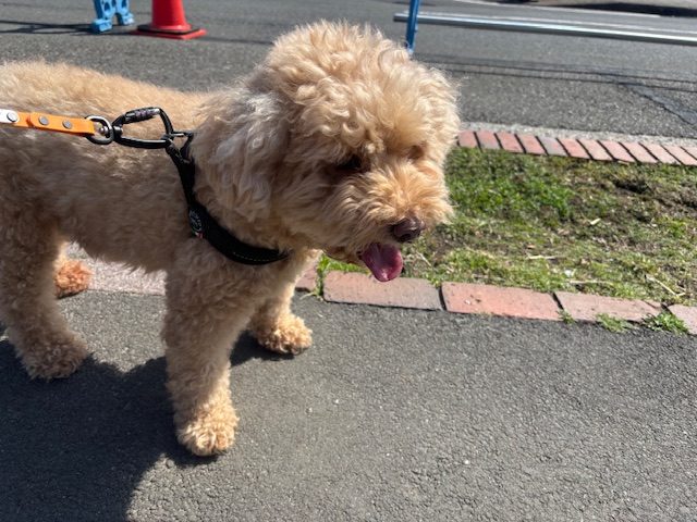 晴れた1日でした(≧▽≦)イメージ