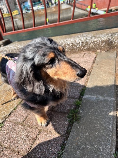 お散歩日和の一日でした(^O^)／イメージ