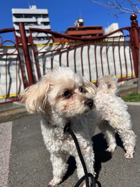 春の陽気を感じる1日でした♫イメージ