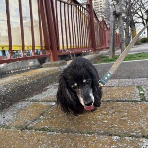 過ごしやすい日でした🌝イメージ